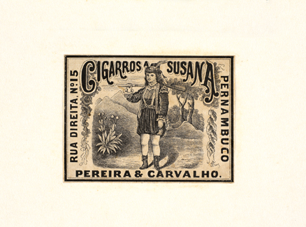 vizualizar o documento on line